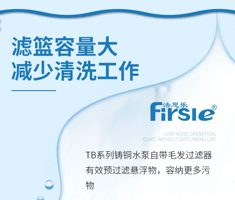 法思乐T系列铸铁循环水泵(图5)