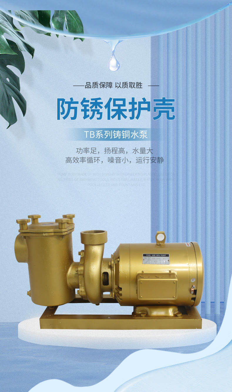 法思乐TB系列铸铜循环水泵(图1)