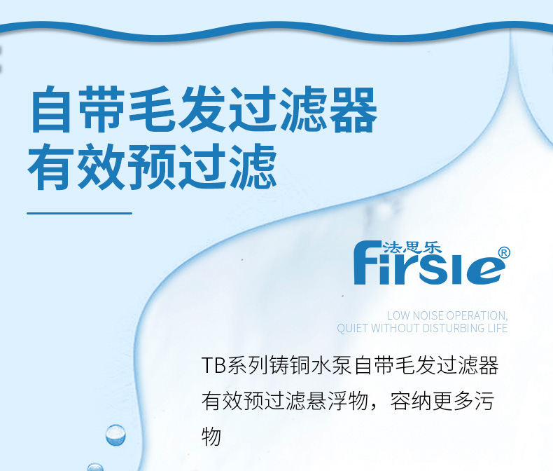 法思乐TB系列铸铜循环水泵(图6)