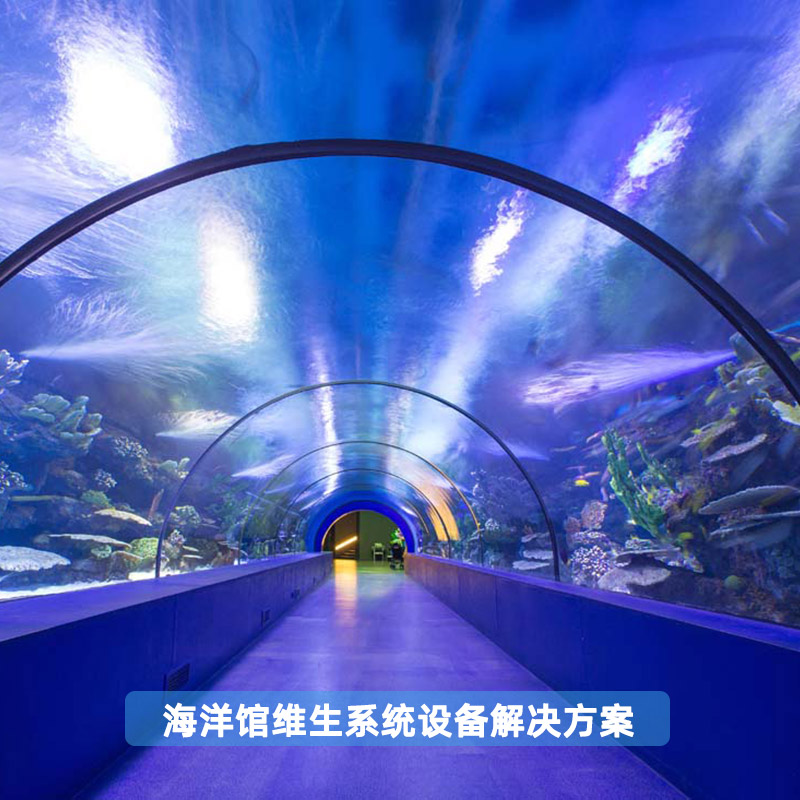 海洋馆维生系统设备解决方案